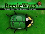 Beetle Wars